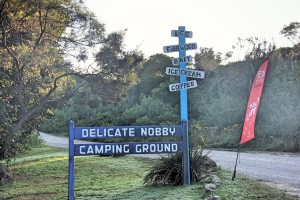 Old Delicate Nobby road sign
